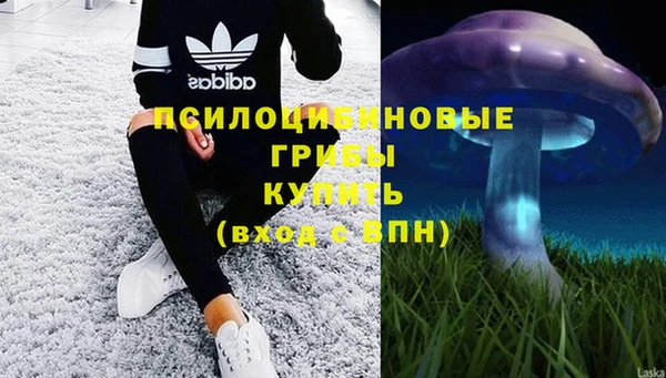 скорость mdpv Горнозаводск