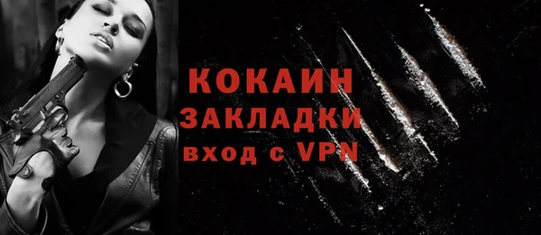 мдпв Горняк