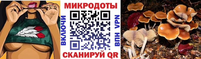 Псилоцибиновые грибы Magic Shrooms Купить закладки Белебей